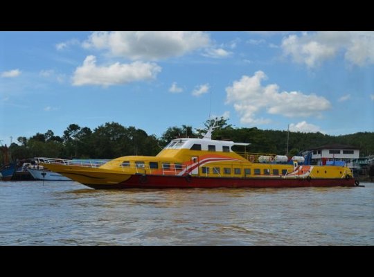 Tiger Boat2