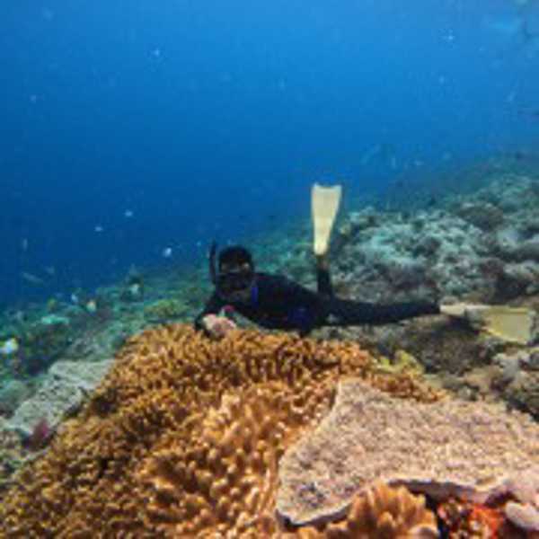 3 Spots Snorkeling Trip with Manta Rays (From Nusa Penida)