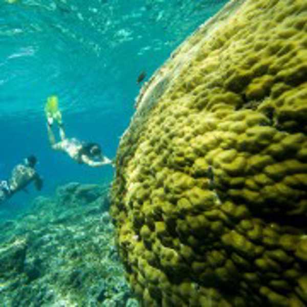 Swim with Manta Rays in Nusa Penida (From Bali)