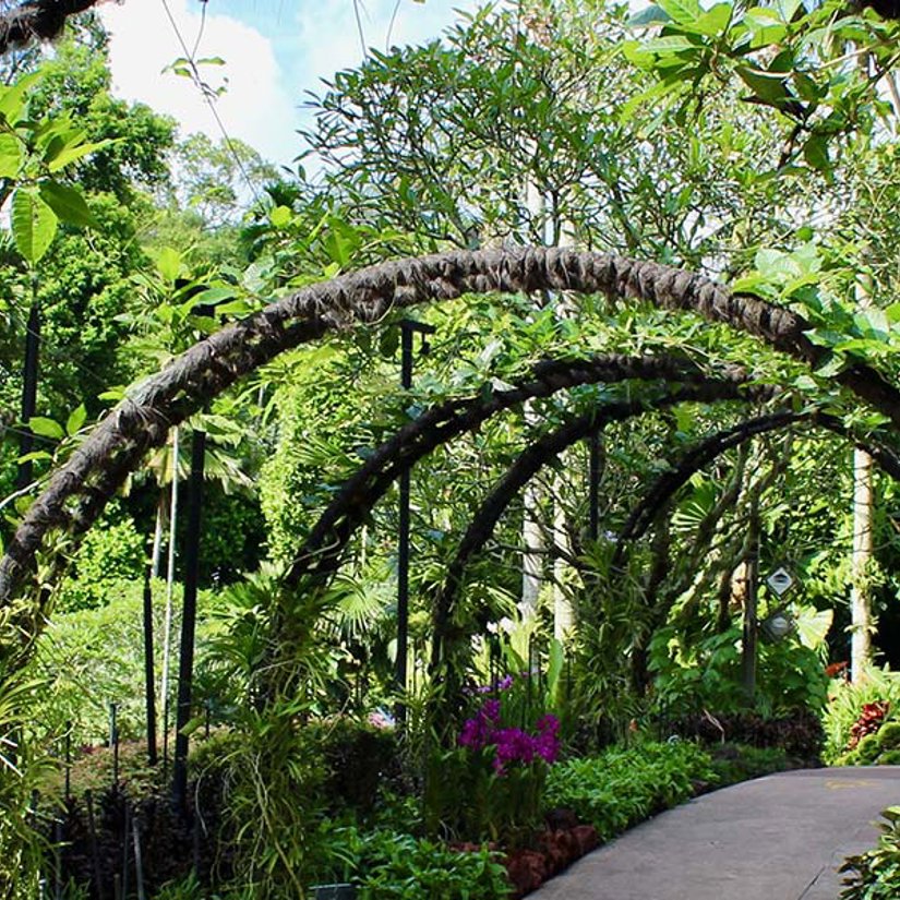 Botanic Garden Singapore
